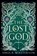 The Lost God, Sheila Masterson - Paperback - 9781960416032