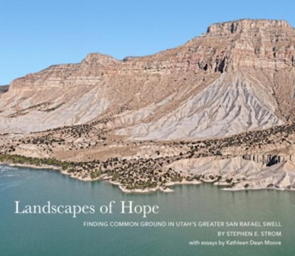 Landscapes of Hope, Stephen E Strom - Gebonden - 9781960521040