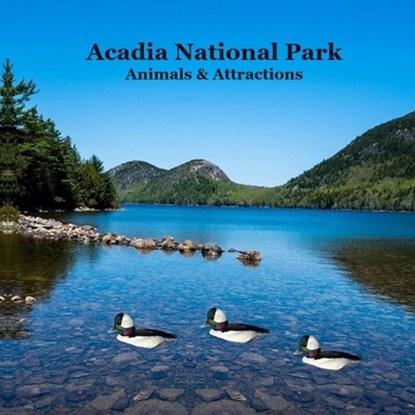 Acadia National Park Animals and Attractions Kids Book: Great Way for Kids to See the Animals and Attractions in Acadia National Park, Kinsey Marie - Paperback - 9781960612915
