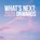 What's Next, Peter Dwyer - Paperback - 9781960861054