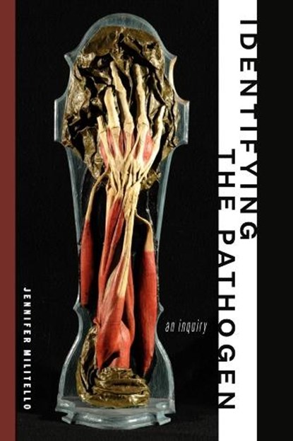 Identifying the Pathogen, Jennifer Militello - Paperback - 9781961209442