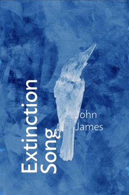 Extinction Song, John James - Paperback - 9781961209558