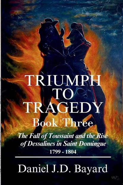 Triumph To Tragedy - Book Three, Daniel J. D. Bayard - Paperback - 9781961297142