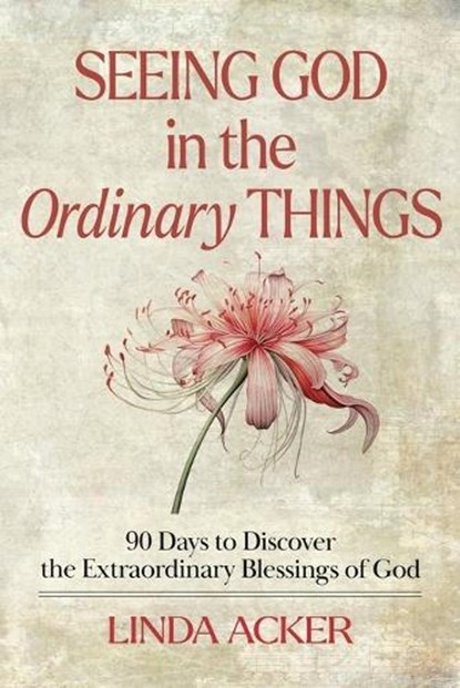 Seeing God in the Ordinary Things: 90 Days to Discover the Extraordinary Blessings of God, Linda G. Acker - Paperback - 9781961641099