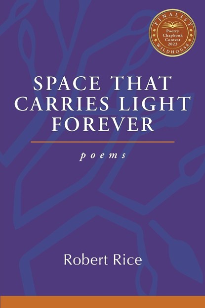Space That Carries Light Forever, Robert Rice - Paperback - 9781961741133