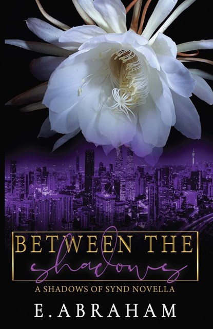 Between the Shadows, E. Abraham - Paperback - 9781961802056