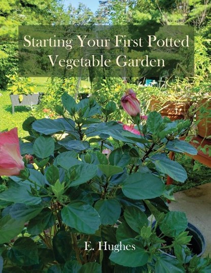Starting Your First Potted Vegetable Garden, E. Hughes - Paperback - 9781961823303