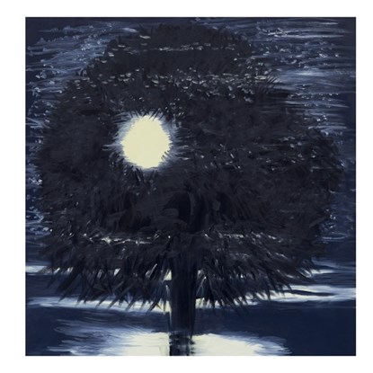 Ann Craven: Night, Ann Craven - Gebonden - 9781961883161