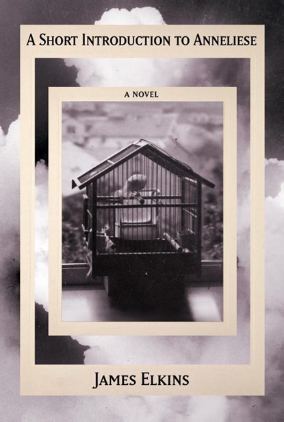 A Short Introduction to Anneliese, James Elkins - Gebonden - 9781961884434