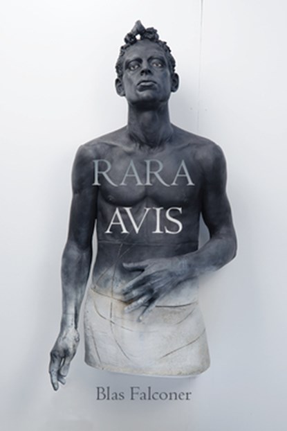 Rara Avis, Blas Falconer - Paperback - 9781961897021