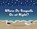 Where Do Seagulls Go at Night?, Eileen Clancy-Pantano - Paperback - 9781961978195
