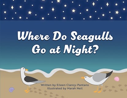 Where Do Seagulls Go at Night?, Eileen Clancy-Pantano - Paperback - 9781961978195