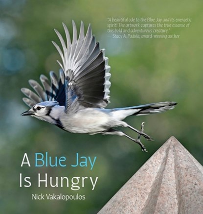 A Blue Jay is Hungry, Nick Vakalopoulos - Gebonden - 9781961978232