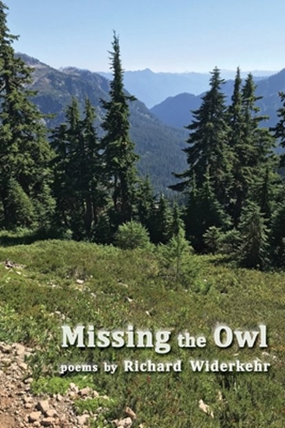 Missing the Owl, Richard Widerkehr - Paperback - 9781962082457