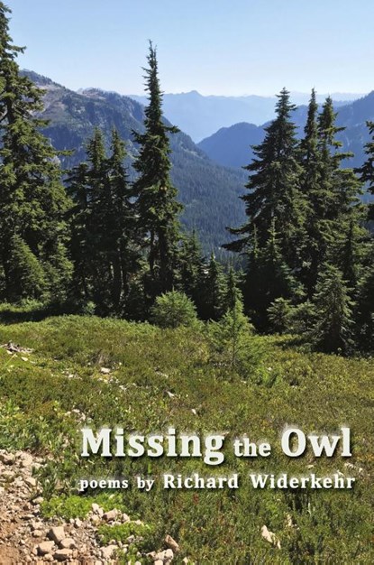 Missing the Owl, Richard Widerkehr - Paperback - 9781962082457