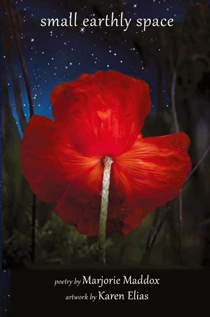 Small Earthly Space, Marjorie Maddox - Paperback - 9781962082495