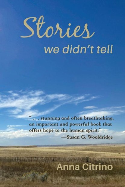 Stories We Didn't Tell, Anna Citrino - Paperback - 9781962082754