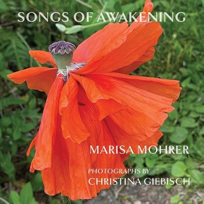 Songs of Awakening, Marisa Mohrer - Paperback - 9781962082952