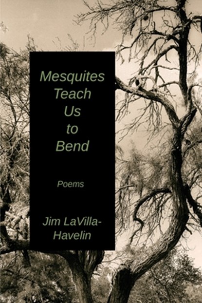 Mesquites Teach Us to Bend, Jim Lavilla-Havelin - Paperback - 9781962148191