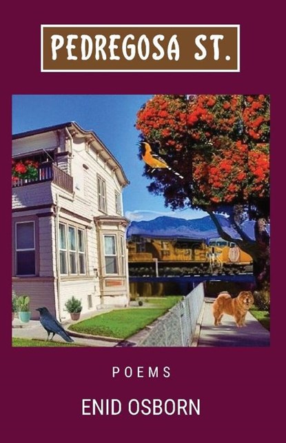 Pedregosa St., Enid Osborn - Paperback - 9781962405478