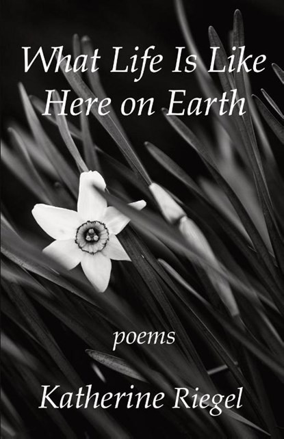 What Life Is Like Here on Earth, Katherine Riegel - Paperback - 9781962405737