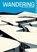 Wandering, Jonathan Djob Nkondo - Gebonden - 9781962413794