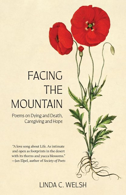 Facing the Mountain, Linda C. Welsh - Paperback - 9781962572606