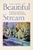 Beautiful Stream, James P. Quiring - Paperback - 9781962645621