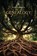 Genealogy, Pam O'Brien - Paperback - 9781962847285