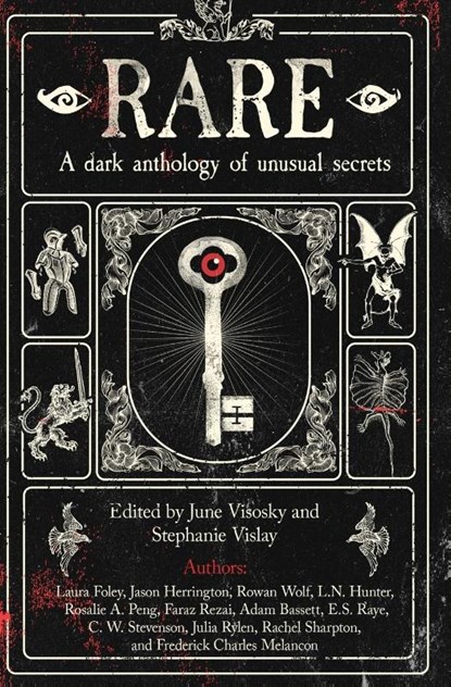 Rare, Various Authors - Paperback - 9781963029062