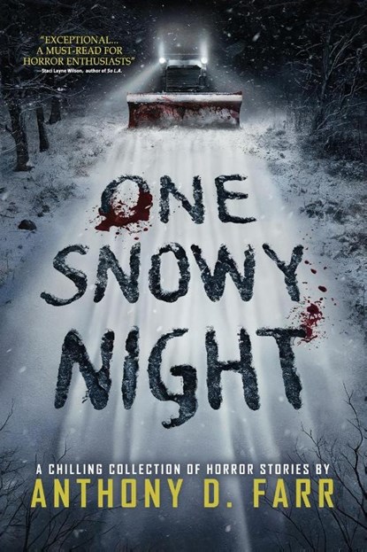 One Snowy Night, Anthony D Farr ; Velox Books - Paperback - 9781963107166