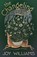 The Changeling, Joy Williams - Paperback - 9781963108903