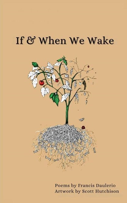 If & When We Wake, Francis Daulerio - Paperback - 9781963115352