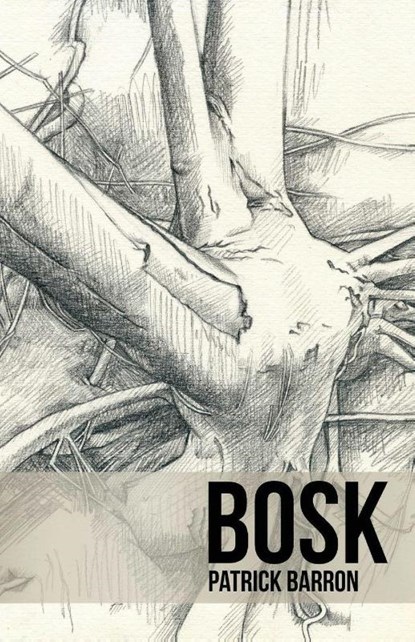 Bosk, Patrick Barron - Paperback - 9781963115710