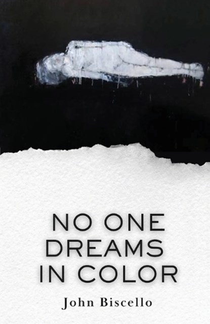 No One Dreams in Color, John Biscello - Paperback - 9781963115888