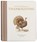 Our Little Adventure at Thanksgiving: Featuring Foundational Language Concepts and Lessons on Gratitude, Tabitha Paige - Gebonden - 9781963183887