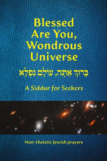 Blessed Are You, Wondrous Universe, Herbert J. Levine - Paperback - 9781963475623