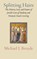 Splitting Hairs, Michael J Broyde - Gebonden - 9781963475876