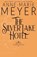 The Silver Lake Hotel, Anne-Marie Meyer - Paperback - 9781963633283