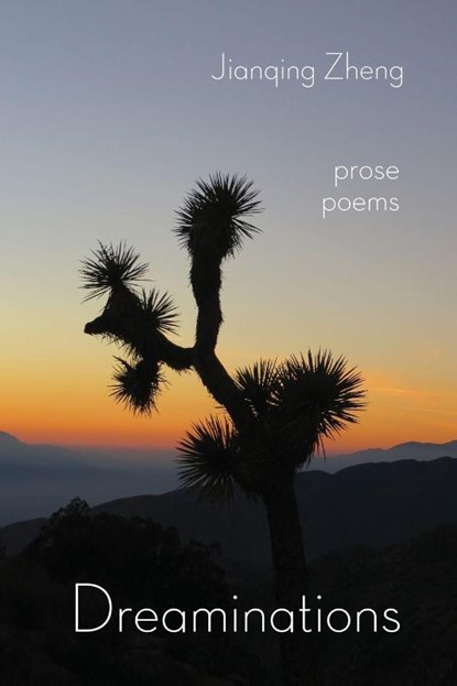 Dreaminations, Jianqing Zheng - Paperback - 9781963695496