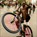 Bike Life, Brian FInke - Paperback - 9781963814255