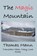 The Magic Mountain, Thomas Mann - Paperback - 9781963956146