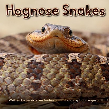 Hognose Snakes, Jessica Anderson ; Bob Ferguson - Paperback - 9781964078144