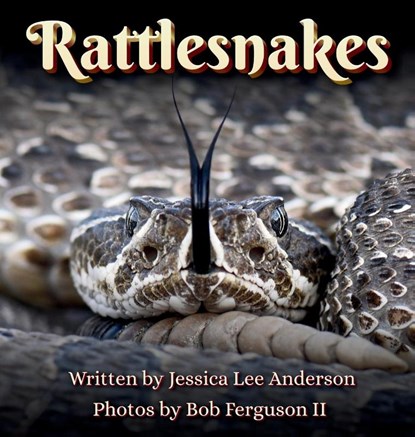 Rattlesnakes, Jessica Lee Anderson - Gebonden - 9781964078229