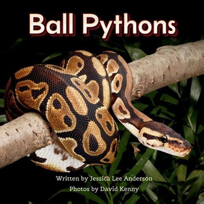 Ball Pythons, Jessica Lee Anderson - Paperback - 9781964078311