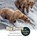 Big Bears at Brooks Falls, Jessica Lee Anderson - Gebonden - 9781964078359