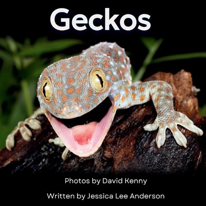 Geckos, Jessica Lee Anderson - Paperback - 9781964078540