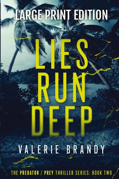 Lies Run Deep, Valerie Brandy - Paperback - 9781964161273