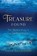 Treasure Found, Faith Donaldson - Paperback - 9781964251011