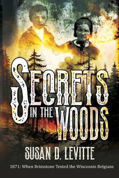 Secrets in the Woods, Susan D. Levitte - Paperback - 9781964700472